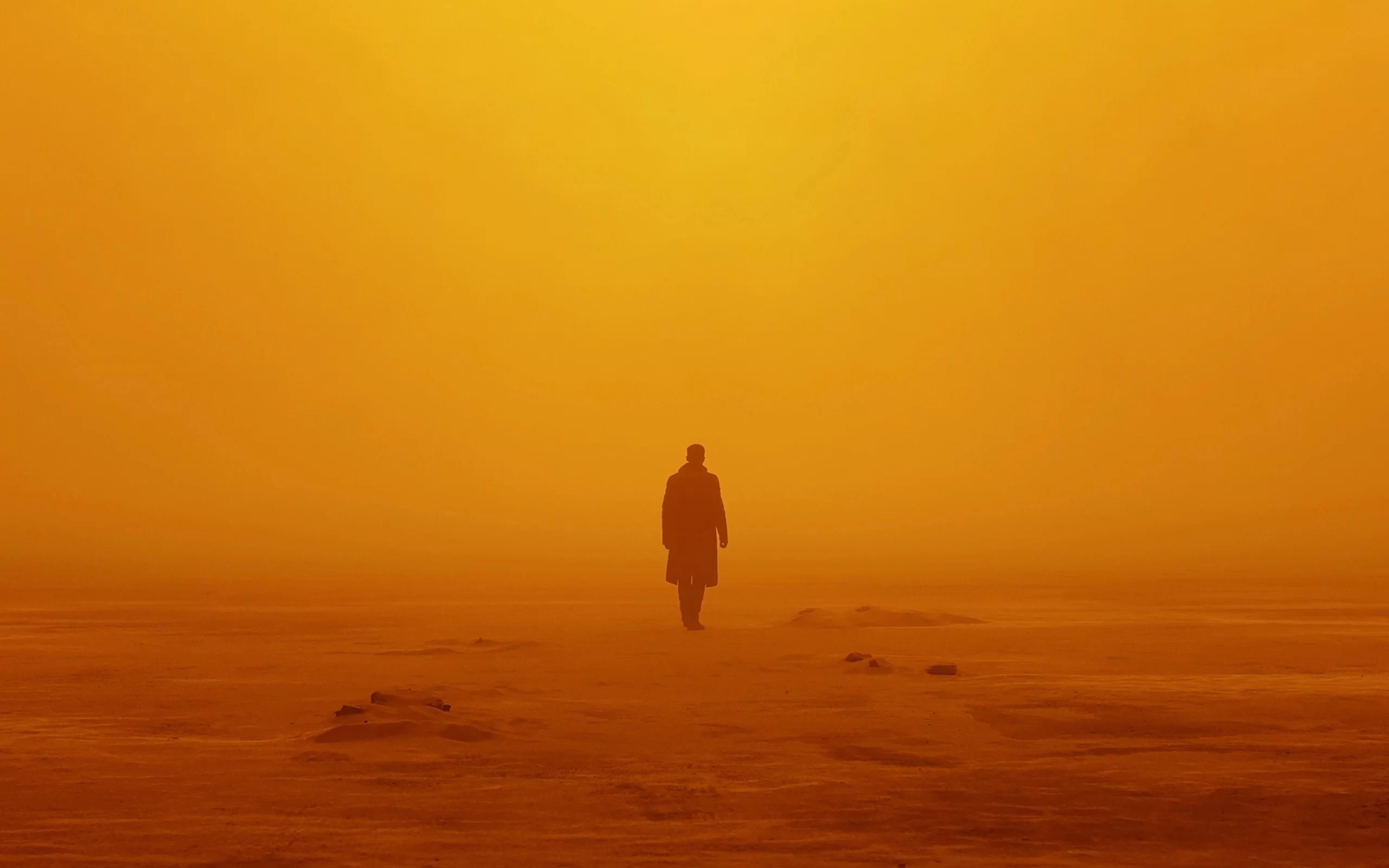 blade runner 2049 Movie poster
